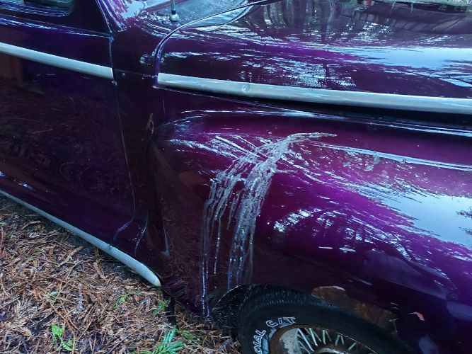 Unknown-Custom-1948-Purple-7