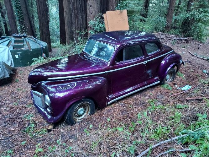 Unknown-Custom-1948-Purple
