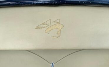 Unknown-Custom-1949-10