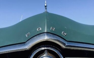 Unknown-Custom-1949-Green-1