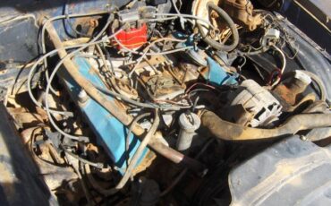 Unknown-Cutlass-1967-Blue-3