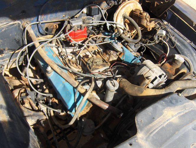 Unknown-Cutlass-1967-Blue-3