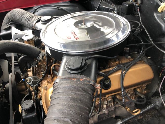Unknown-Cutlass-1969-Crimson-RedWhite-Pearl-White-18