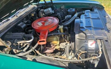 Unknown-Cutlass-1969-Green-Green-10