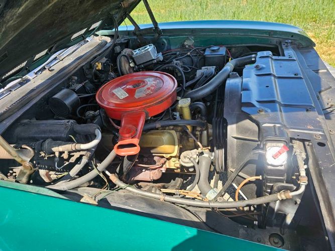 Unknown-Cutlass-1969-Green-Green-10