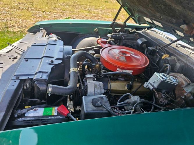 Unknown-Cutlass-1969-Green-Green-9