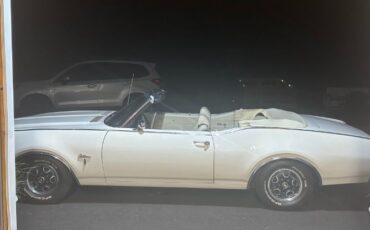Unknown-Cutlass-1969-Triple-White-White-21