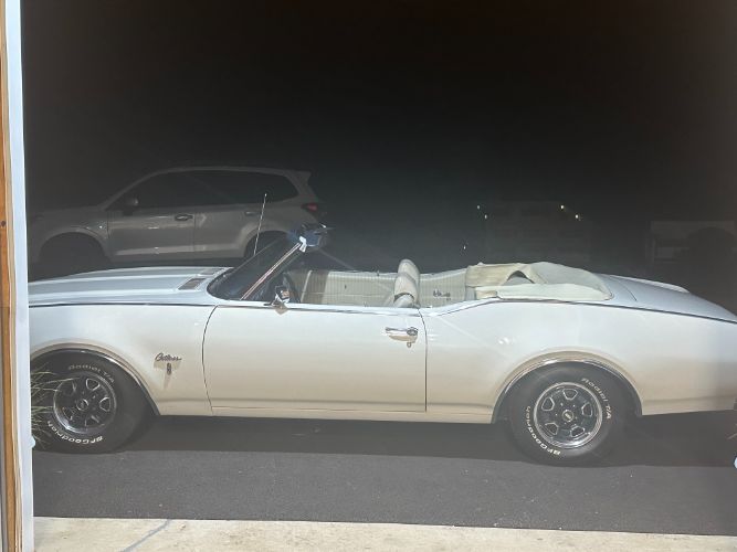Unknown-Cutlass-1969-Triple-White-White-21