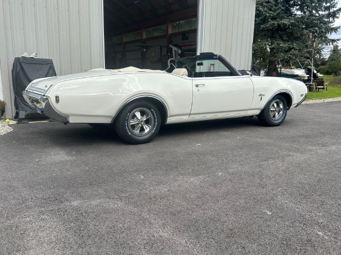 Unknown-Cutlass-1969-Triple-White-White-26