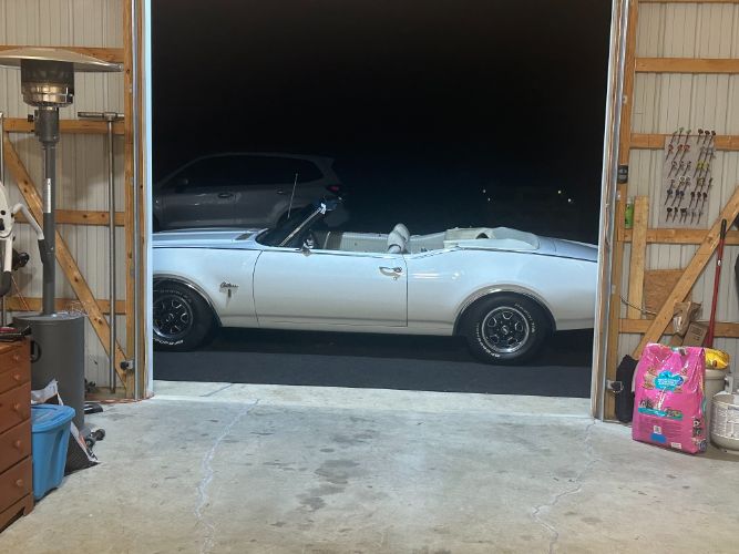 Unknown-Cutlass-1969-Triple-White-White-3