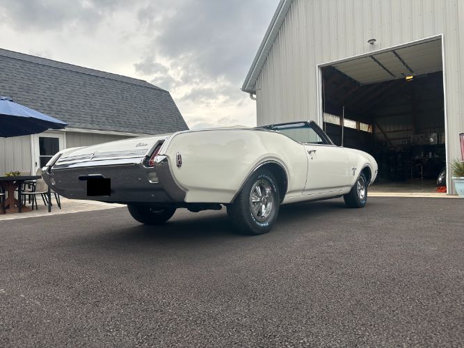 Unknown-Cutlass-1969-Triple-White-White