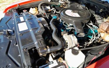Unknown-Cutlass-1971-Matador-Red-Black-3