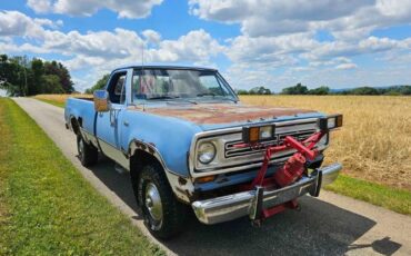 Unknown-D100-1973-Blue-Blue-10