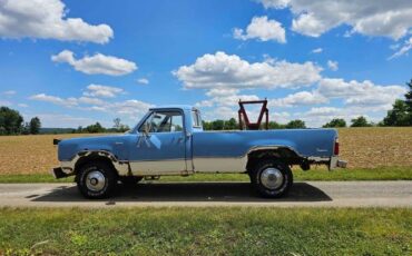 Unknown-D100-1973-Blue-Blue-17