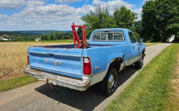 Unknown-D100-1973-Blue-Blue-19