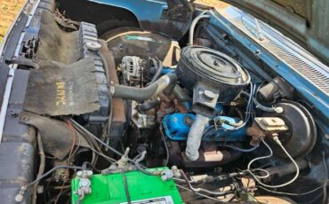 Unknown-D100-1973-Blue-Blue-3