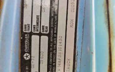 Unknown-D100-1973-Blue-Blue-4