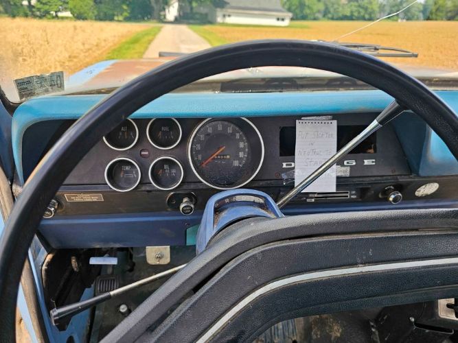 Unknown-D100-1973-Blue-Blue-5