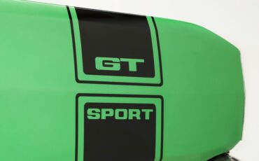 Unknown-Dart-1969-Bright-Green-Black-24