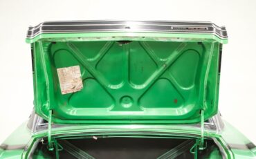 Unknown-Dart-1969-Bright-Green-Black-6