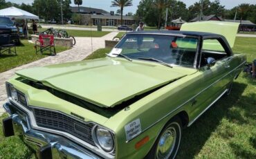 Unknown-Dart-1973-Green-Black