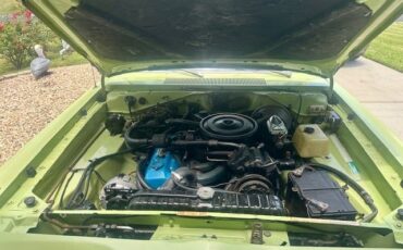 Unknown-Dart-1973-Green-Black-4
