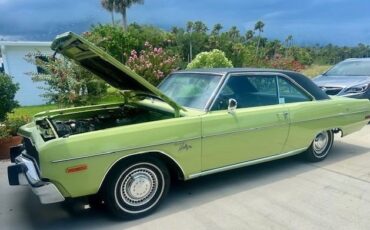 Unknown-Dart-1973-Green-Black-5
