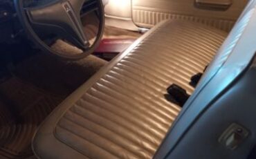 Unknown-Dart-1974-Metallic-Brown-Cream-11