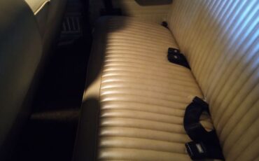 Unknown-Dart-1974-Metallic-Brown-Cream-15