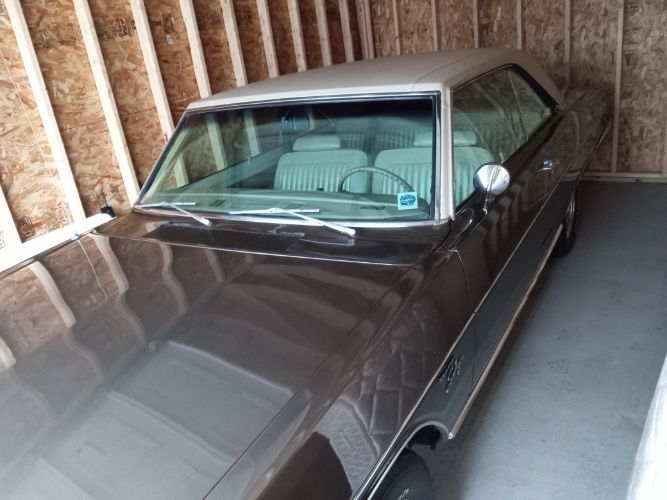 Unknown-Dart-1974-Metallic-Brown-Cream-3