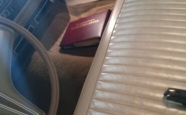 Unknown-Dart-1974-Metallic-Brown-Cream-4