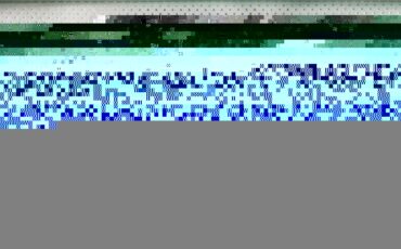 Unknown-Delray-1958-Arctic-White-Green