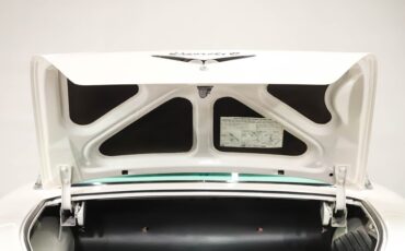Unknown-Delray-1958-Arctic-White-Green-44