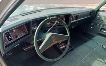 Unknown-Delta-88-1973-GreenWhite-Top-Green-Cloth-10
