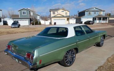 Unknown-Delta-88-1973-GreenWhite-Top-Green-Cloth-15