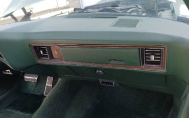 Unknown-Delta-88-1973-GreenWhite-Top-Green-Cloth-7