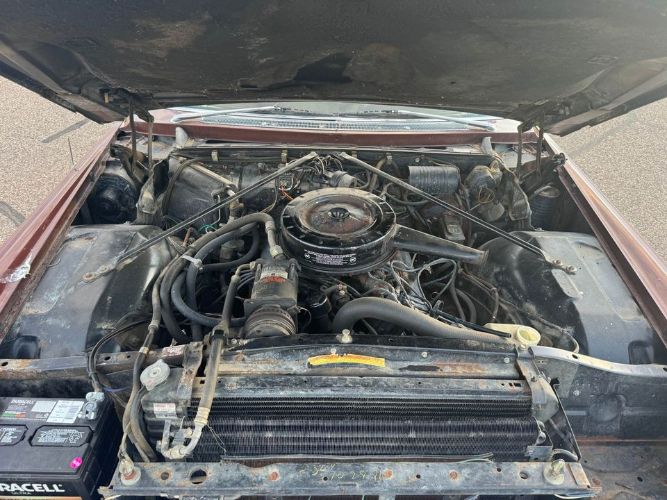 Unknown-Deville-1966-Brown-Brown-21