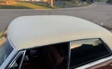 Unknown-Deville-1966-Brown-Brown-6
