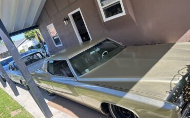 Unknown-Deville-1969-4