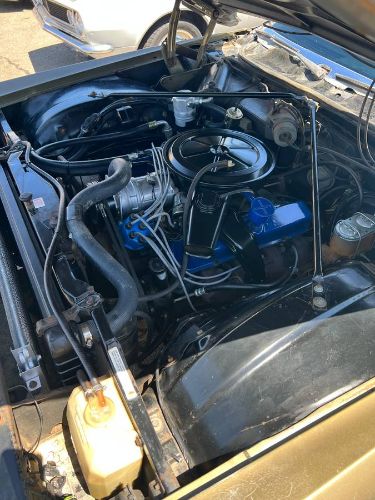 Unknown-Deville-1970-Green-Black-4