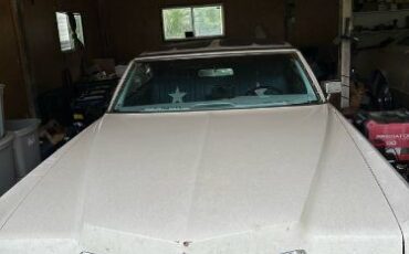 Unknown-Deville-1970-White-7