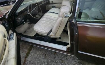 Unknown-Deville-1973-Brown-5