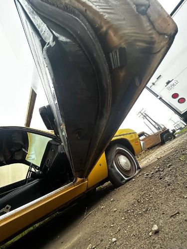 Unknown-Duster-1971-1