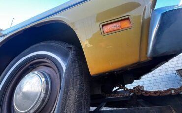 Unknown-Duster-1971-4