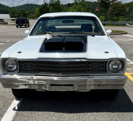 Unknown-Duster-1973-White-1