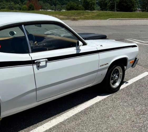 Unknown-Duster-1973-White-10