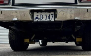 Unknown-Duster-1973-White-11