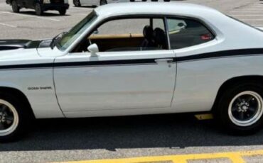 Unknown-Duster-1973-White