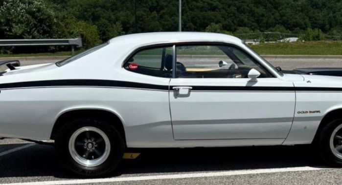 Unknown-Duster-1973-White-6