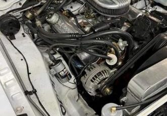 Unknown-Duster-1973-White-7